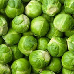 Brussels sprout