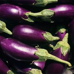 Eggplant