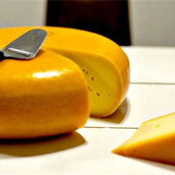 Gouda cheese