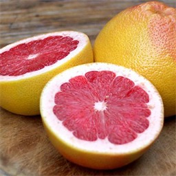 Grapefruit