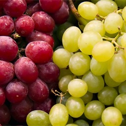 Grapes