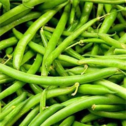Green snap beans