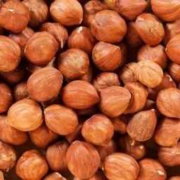 Hazelnuts or filberts