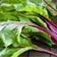 Beet greens