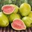 Guavas