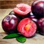 Plums