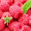 Raspberries