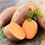 Sweet potato