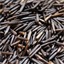 Wild rice